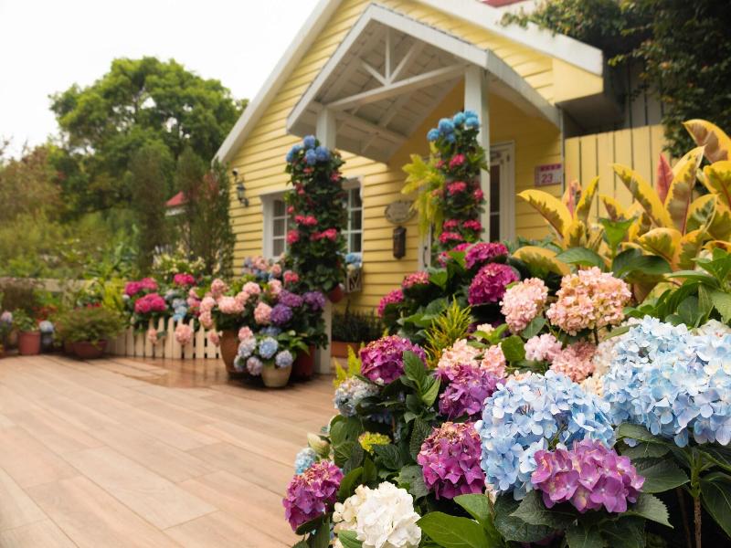 Prado Hill Holiday image