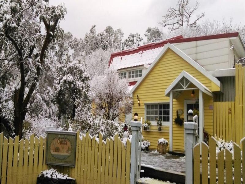 Prado Hill Holiday image