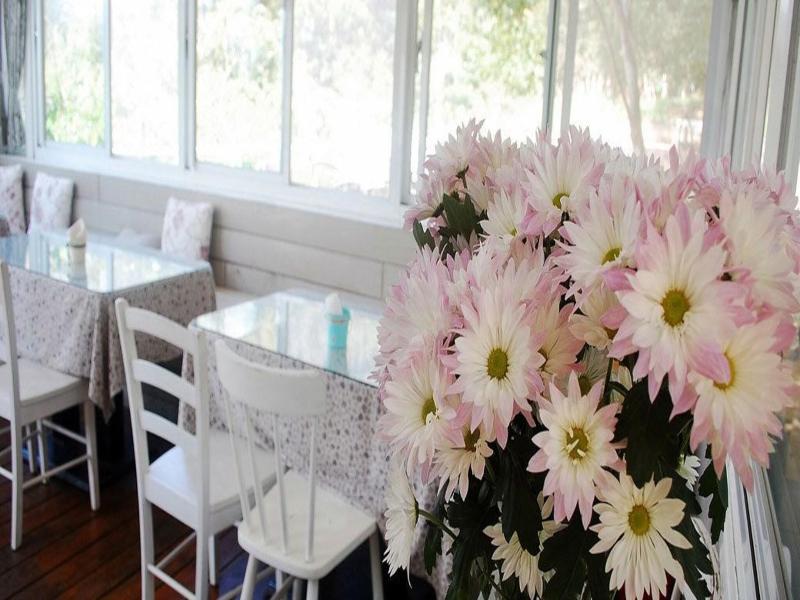 Prado Hill Holiday image