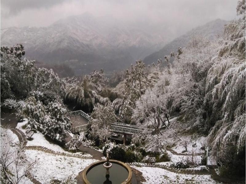 Prado Hill Holiday image