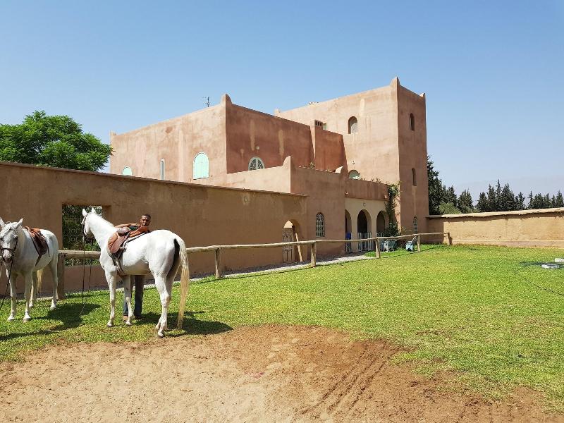 Palais Claudio Bravo image