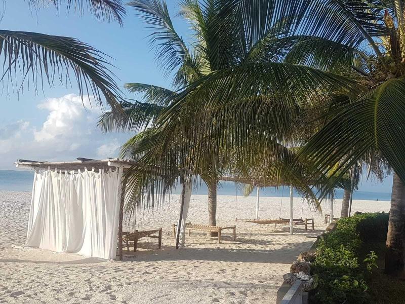 Life Resort St.Thomas Royal Palm image