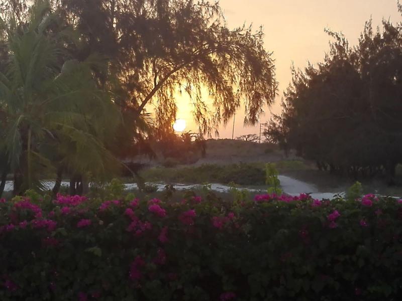 Life Resort St.Thomas Royal Palm image