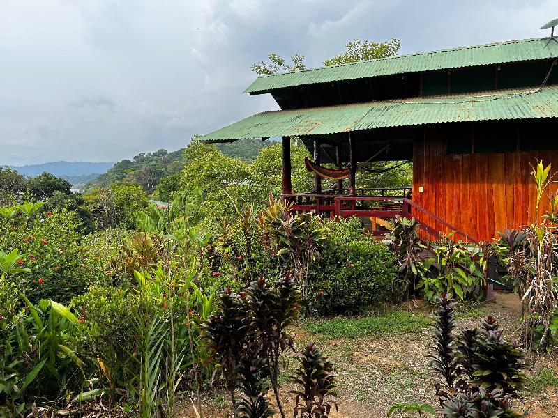 Vista Drake Lodge image