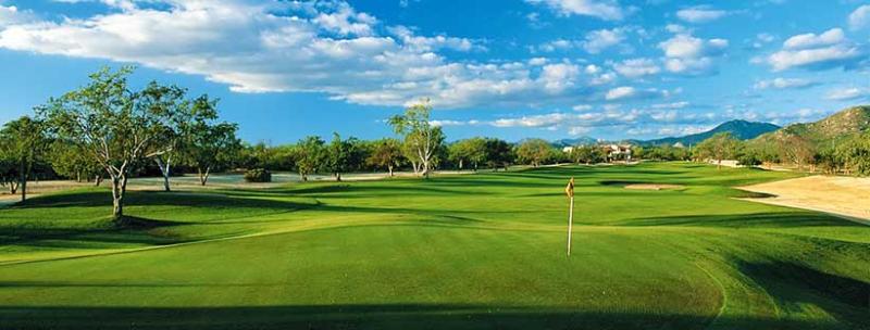 Los Cabos Golf Resort,TrademarkCollectionbyWyndham image