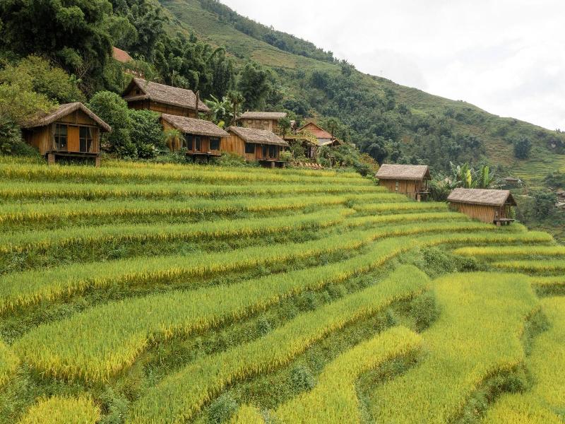 Eco Palms House - Sapa Retreat