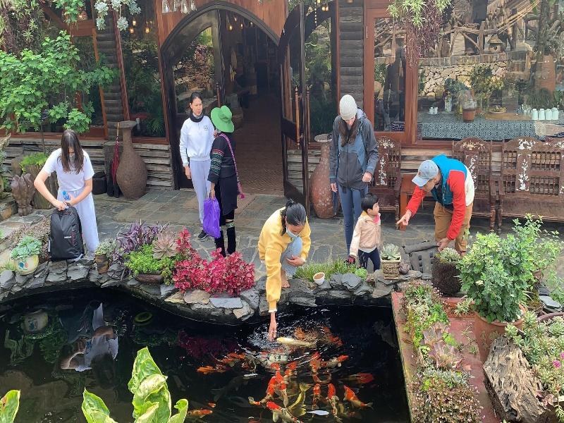 Eco Palms House - Sapa Retreat