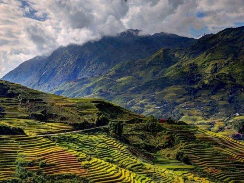 Eco Palms House - Sapa Retreat