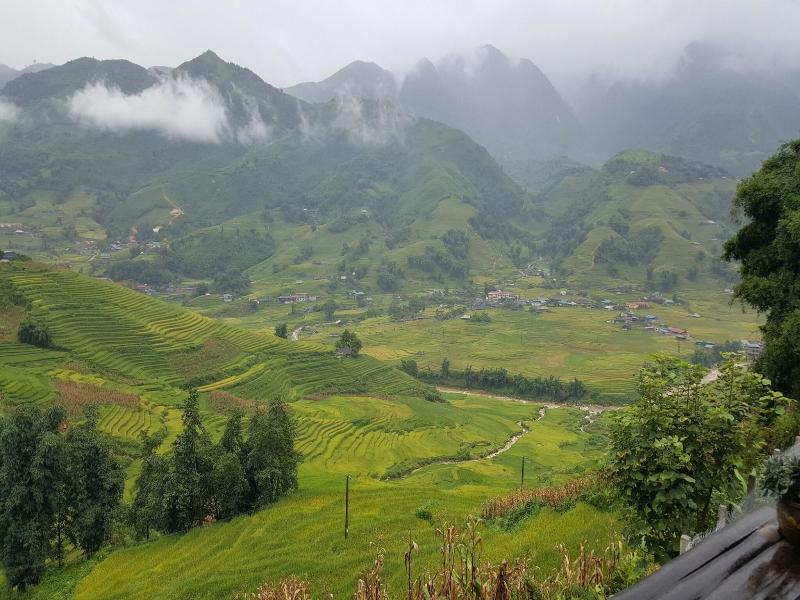 Eco Palms House - Sapa Retreat