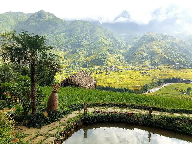 Eco Palms House - Sapa Retreat
