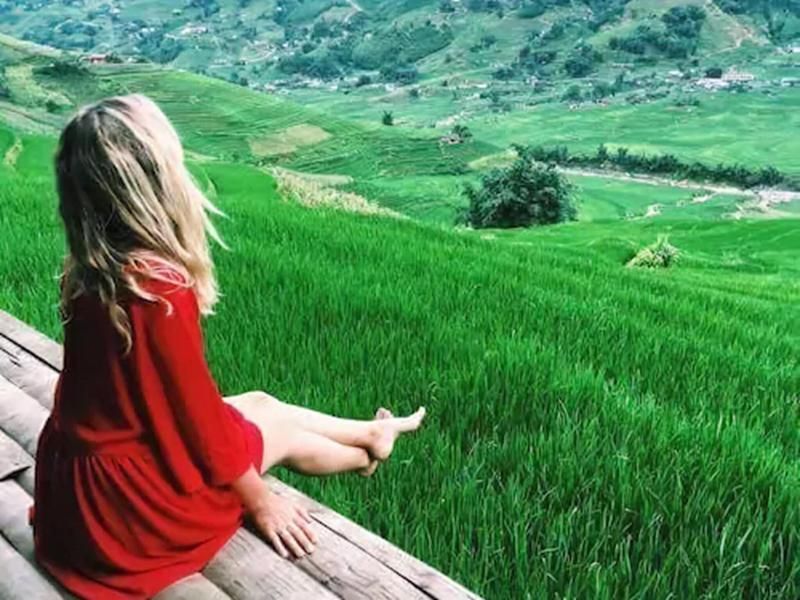 Eco Palms House - Sapa Retreat