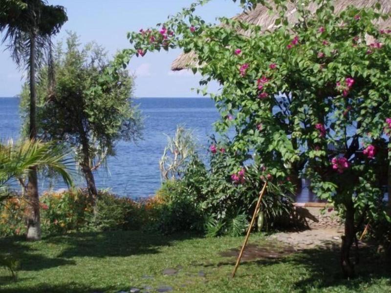 TOYABALI - Resort image