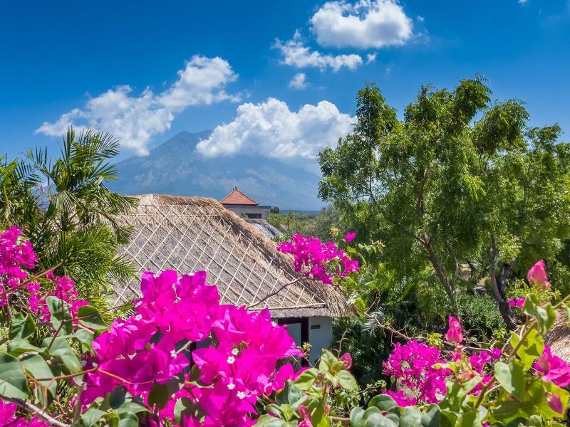 TOYABALI - Resort image