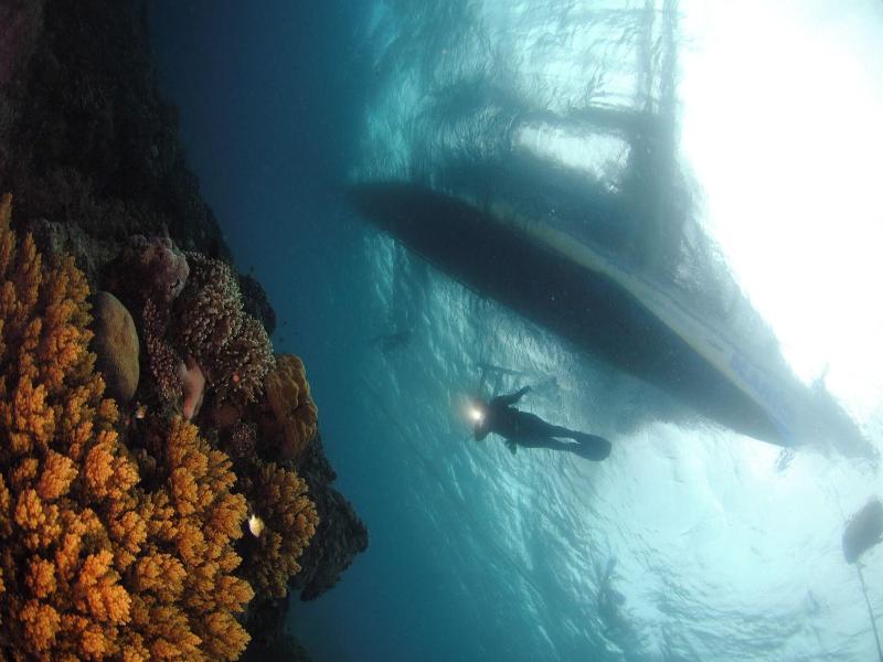 Mahi Mahi Dive Resort image