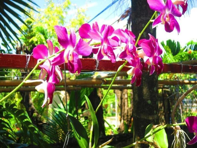 Kampot Guesthouse image
