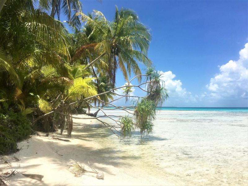 Le Maitai Rangiroa image