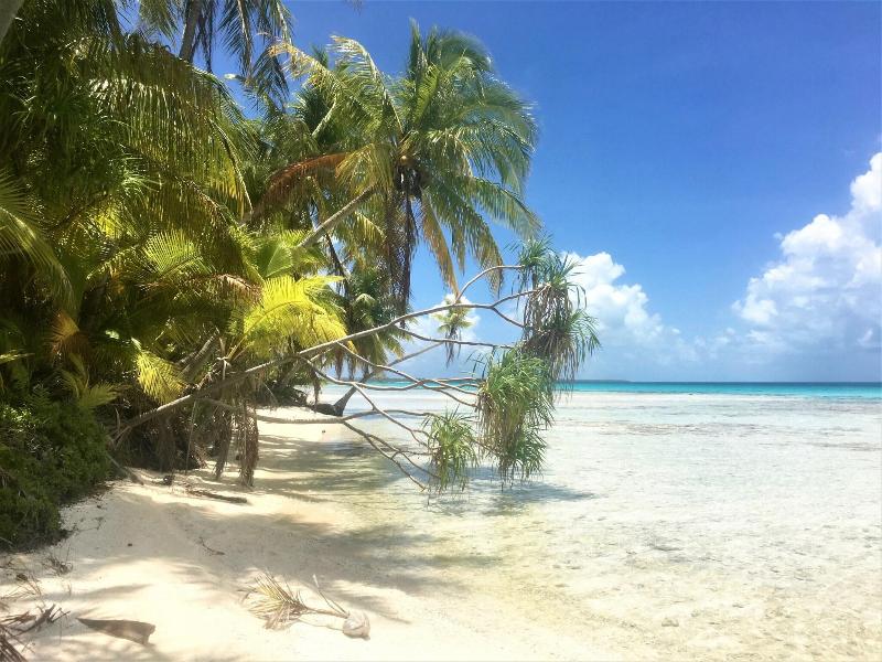 Le Maitai Rangiroa image