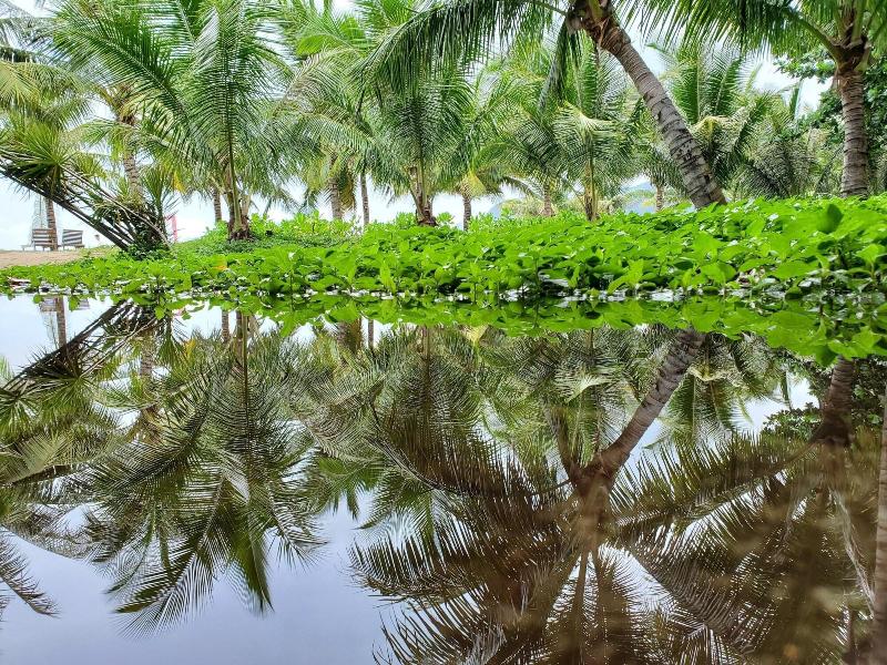 Tan Son Nhat Con Dao Resort image