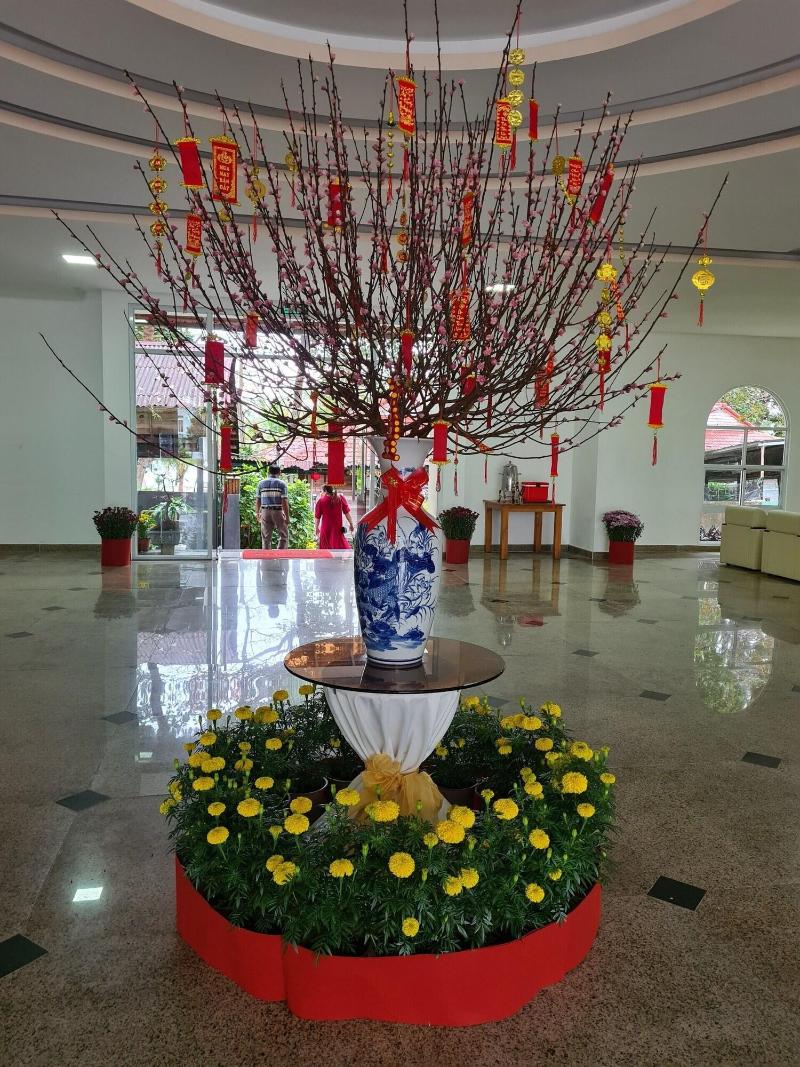 Tan Son Nhat Con Dao Resort image