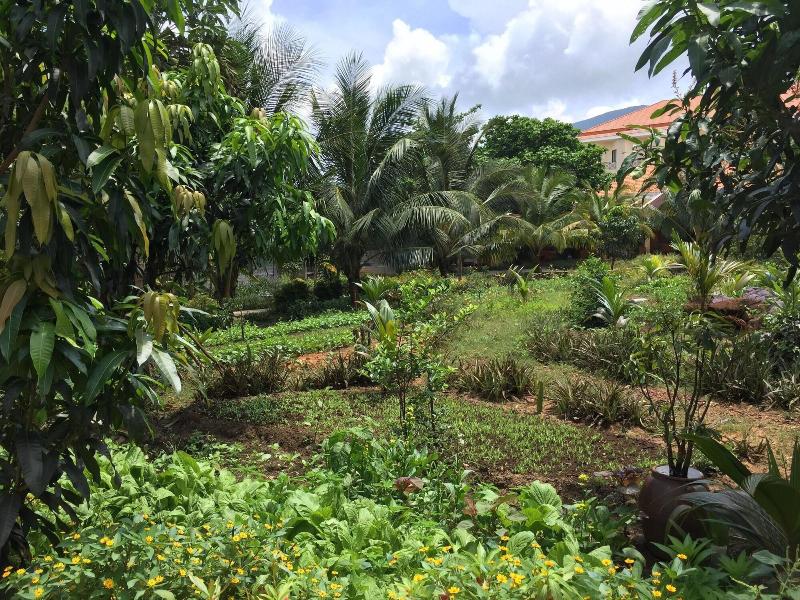 Tan Son Nhat Con Dao Resort image