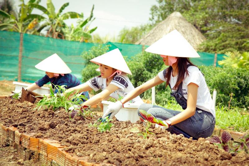 Forever Green Resort image