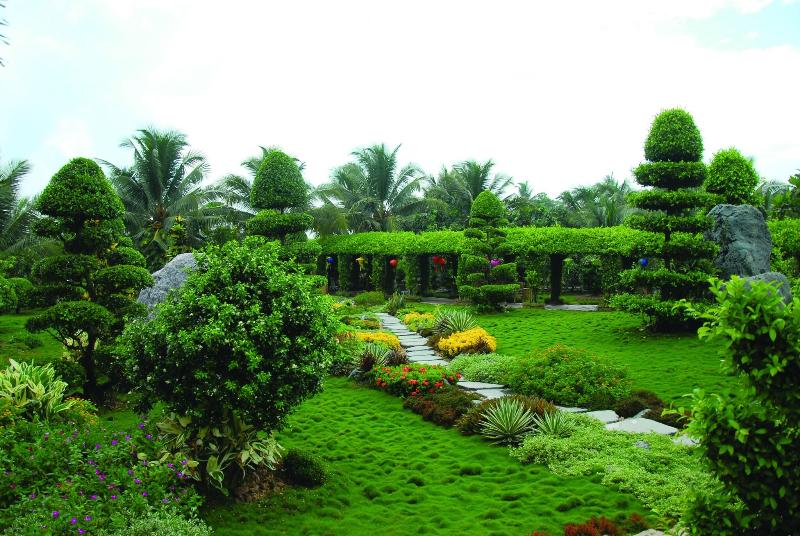 Forever Green Resort image