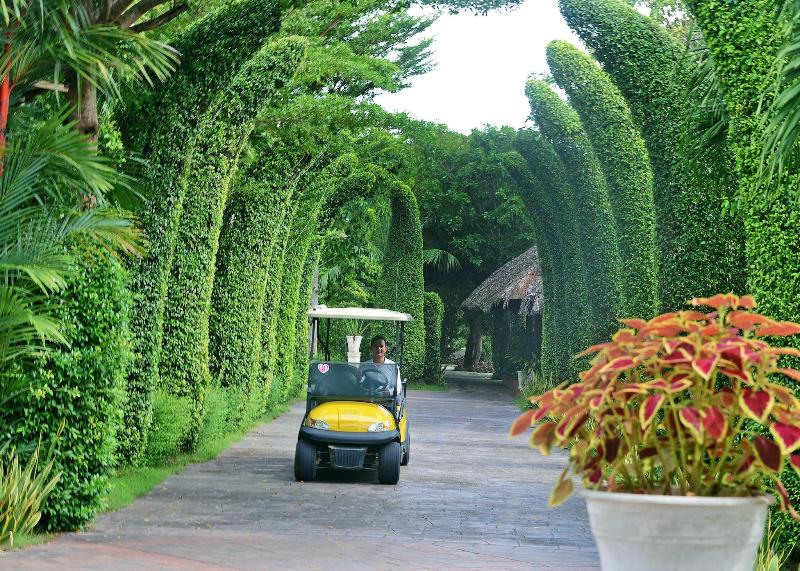 Forever Green Resort image