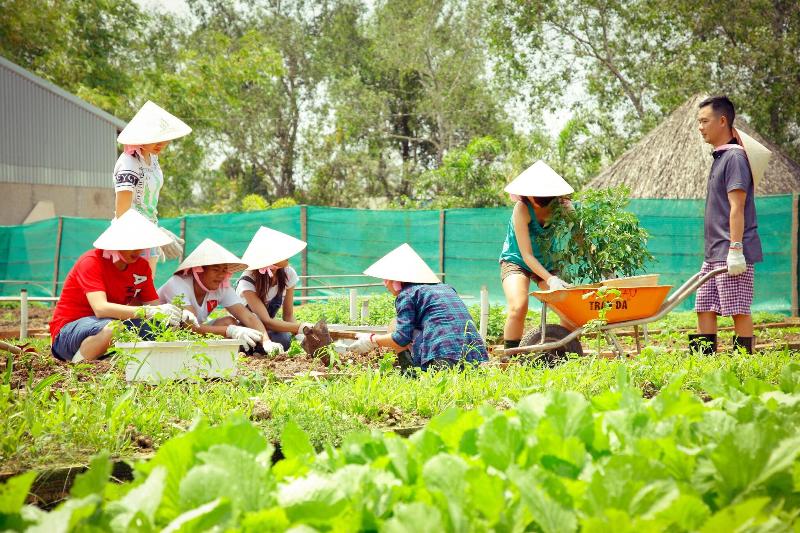 Forever Green Resort image