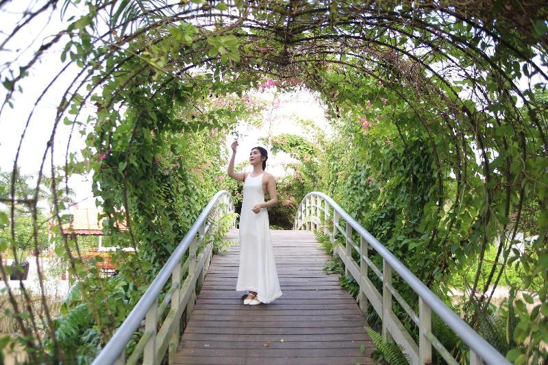 Forever Green Resort image