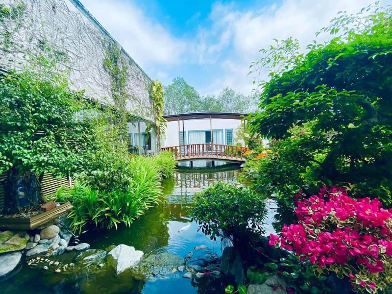 Forever Green Resort image