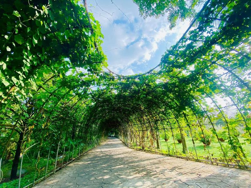 Forever Green Resort image