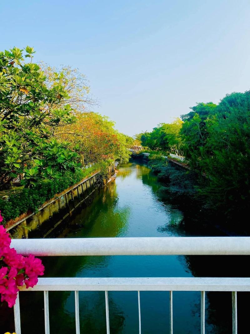 Forever Green Resort image