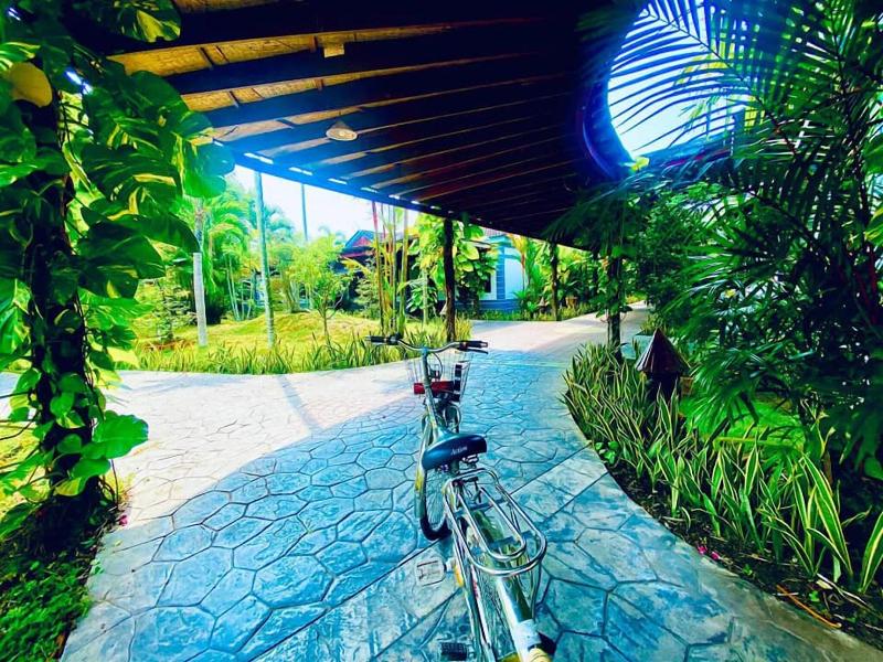 Forever Green Resort image