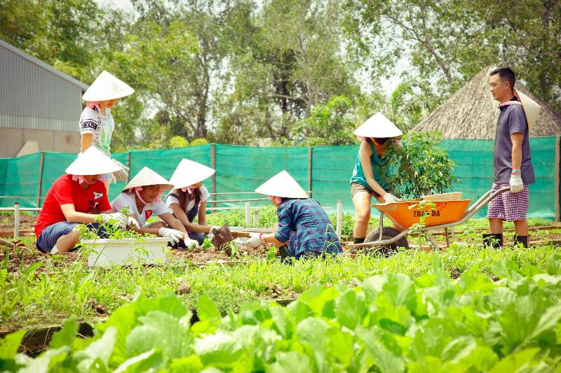 Forever Green Resort image