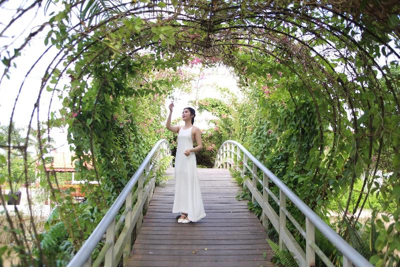 Forever Green Resort image
