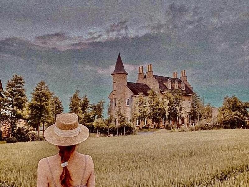 Chateau De France image