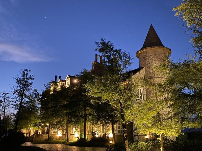 Chateau De France image