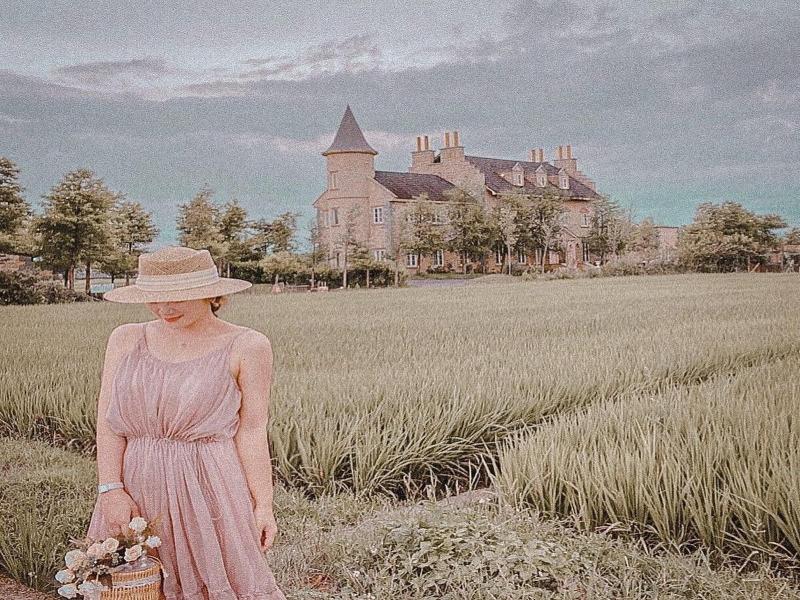 Chateau De France image