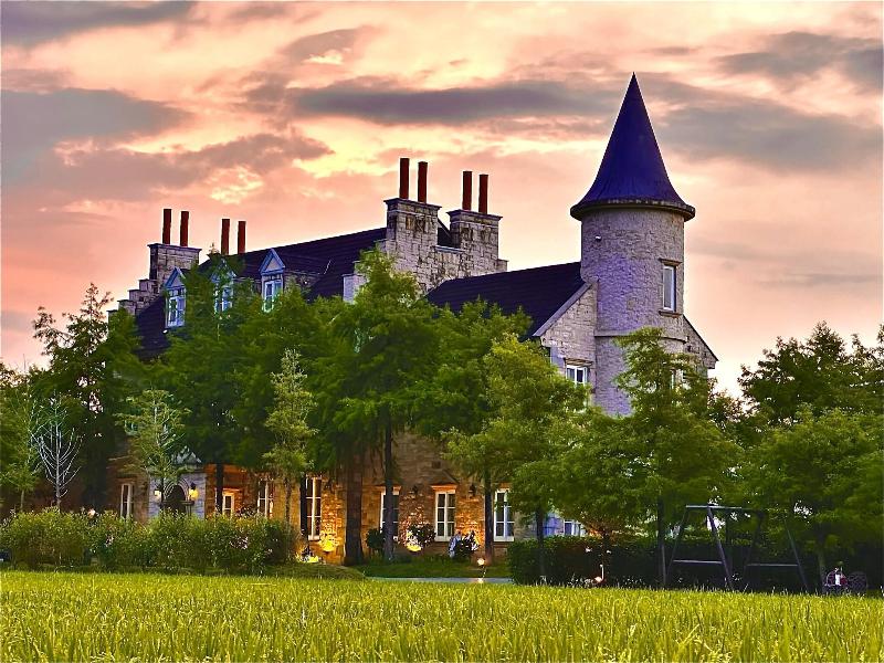 Chateau De France image