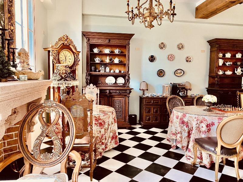 Chateau De France image