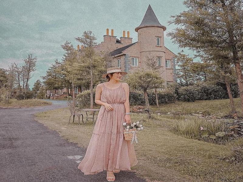 Chateau De France image