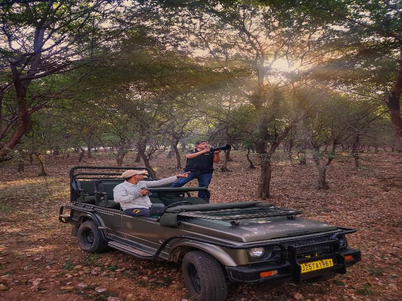 Jungle Vilas image