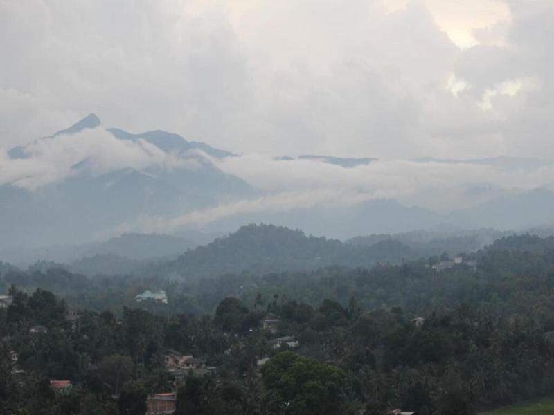 Mount View 11