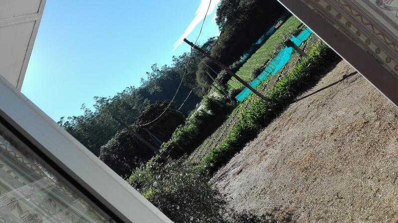 Kumara Sevana - The Family Cottage — photo 2