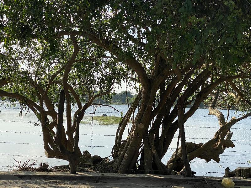 Yala Lake View Cabanas image