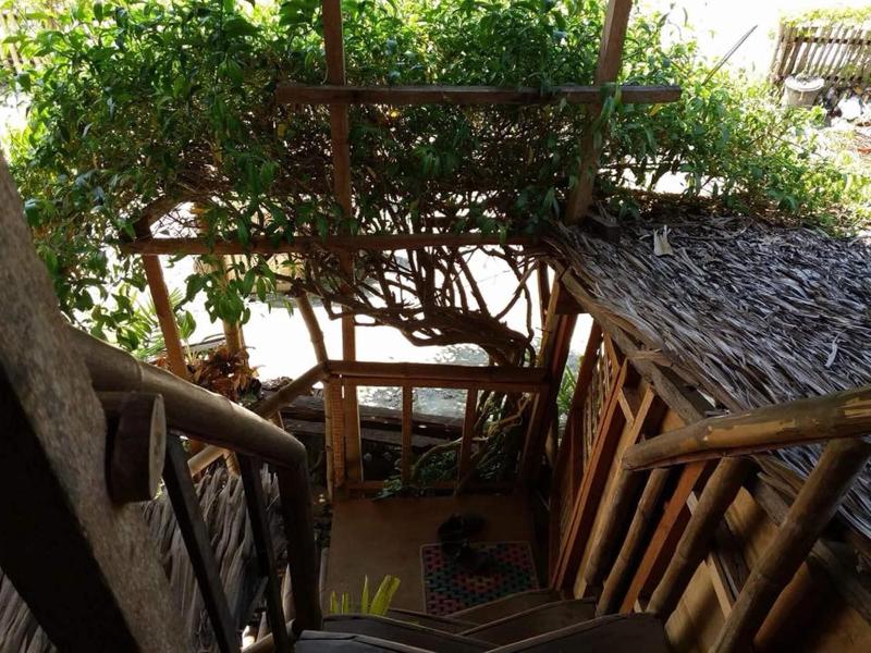 Babu Backpackers Inn - Hostel — photo 2