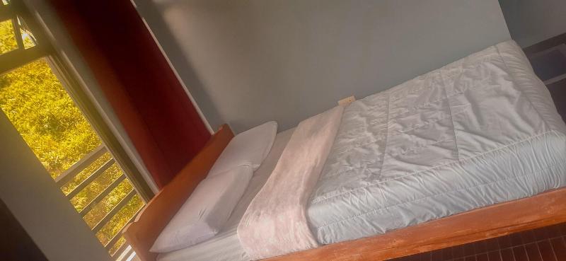 Banaue Pink Eco Hostel image