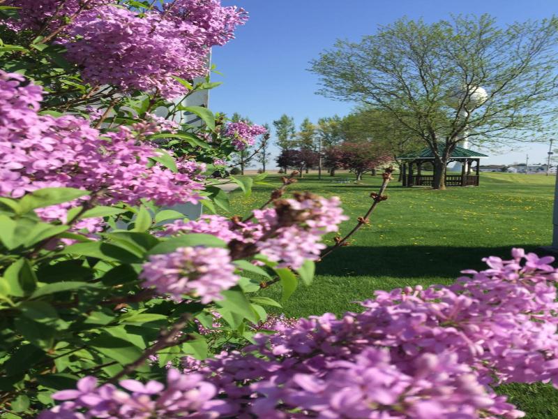 Crest Country Inn image