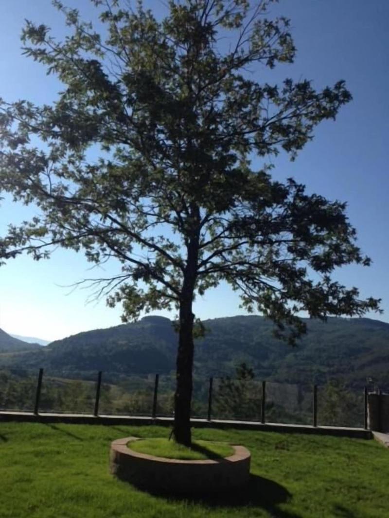 Il Castello Country House — photo 4