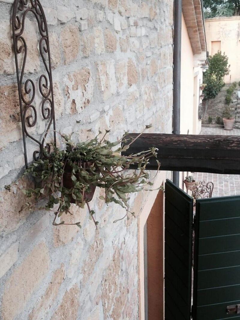 Country House Il Sassone image